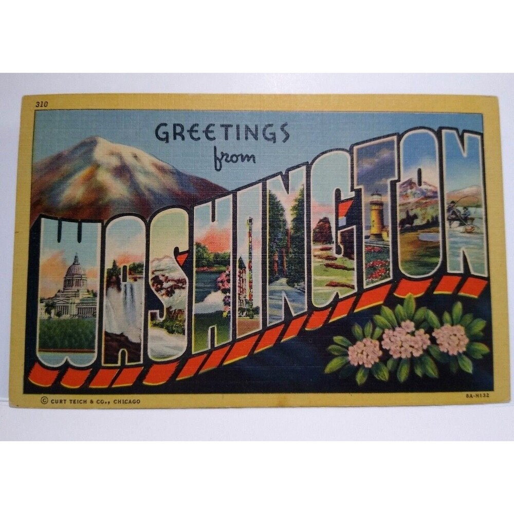 Greetings From Washington Large Letter Linen Postcard Unused Mountains Flowers